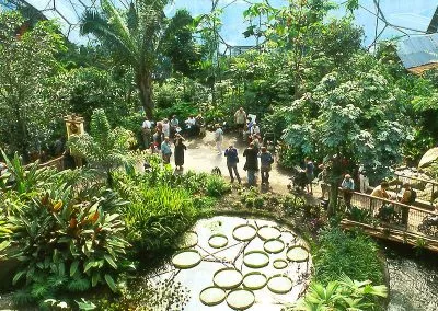 Lush botanical garden with visitors, featuring large lily pads and tropical plants under a geodesic dome.