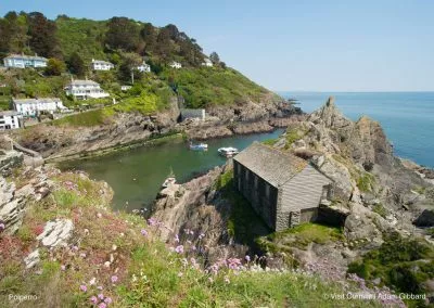 Coastal landscape featuring a rocky inlet with a small wooden cabin, surrounded by greenery and flowering plants, under a clear blue sky.