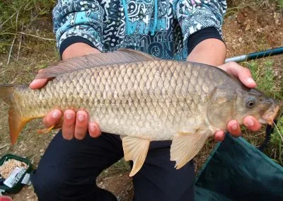 fishing catch gallery 24