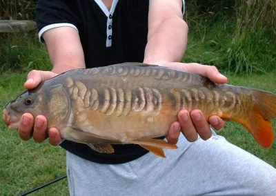 fishing catch gallery 26