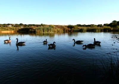 guest photo gallery 16