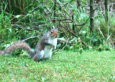 guest photo gallery 20