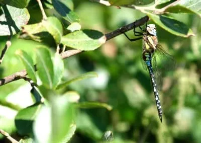 guest photo gallery 21