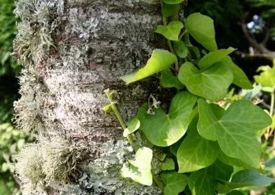 guest photo gallery 4