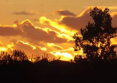 Vibrant sunset over a landscape with silhouetted trees and dramatic clouds, showcasing hues of orange and yellow against a darkening sky.