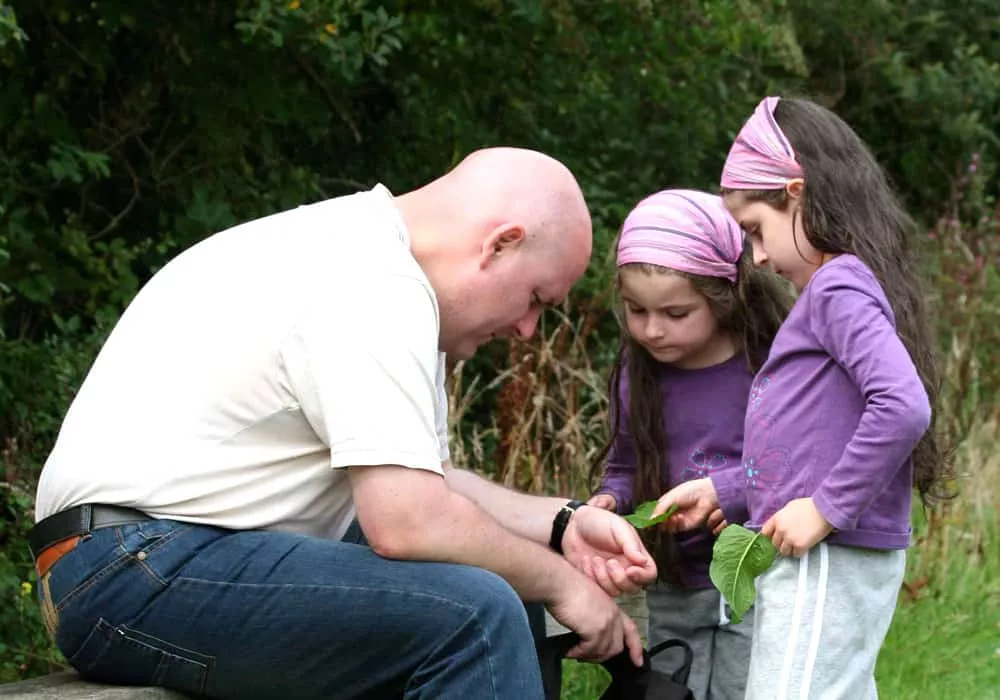 nature gallery 14 - Perran Springs Holiday Park, Perranporth, Cornwall