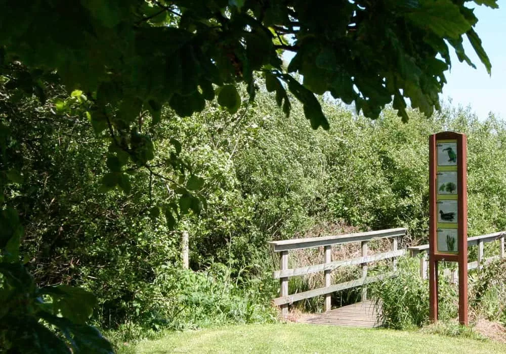 nature gallery 18 - Perran Springs Holiday Park, Perranporth, Cornwall