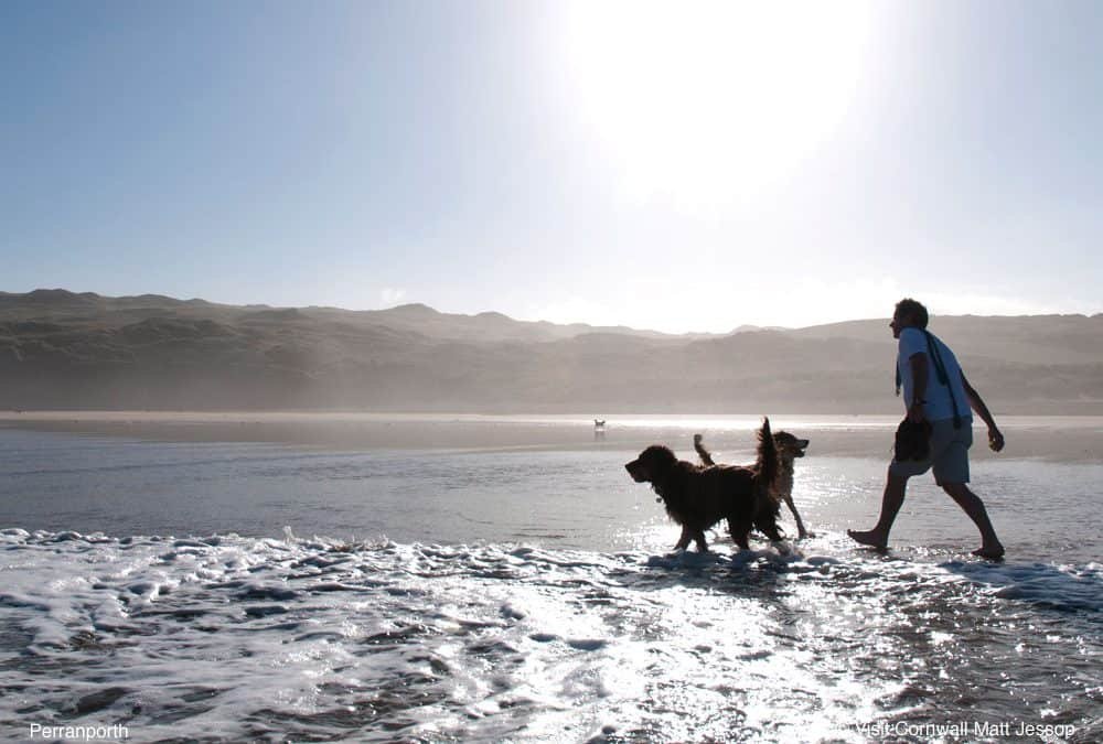 Dog Friendly Beaches In Cornwall From Porthtowan to Padstow