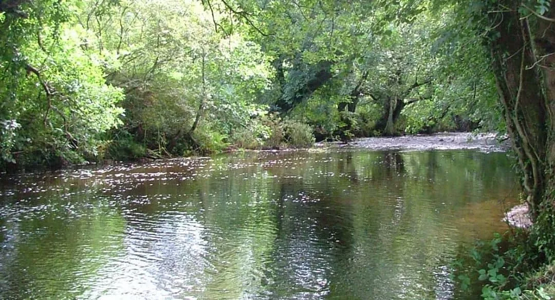 Fishing on the River Camel