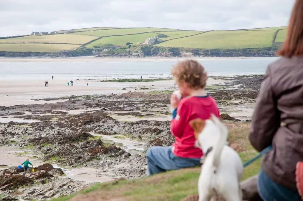 padstow forage