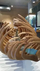 National Maritime Museum Cornwall