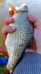 roach caught with Burt Baits