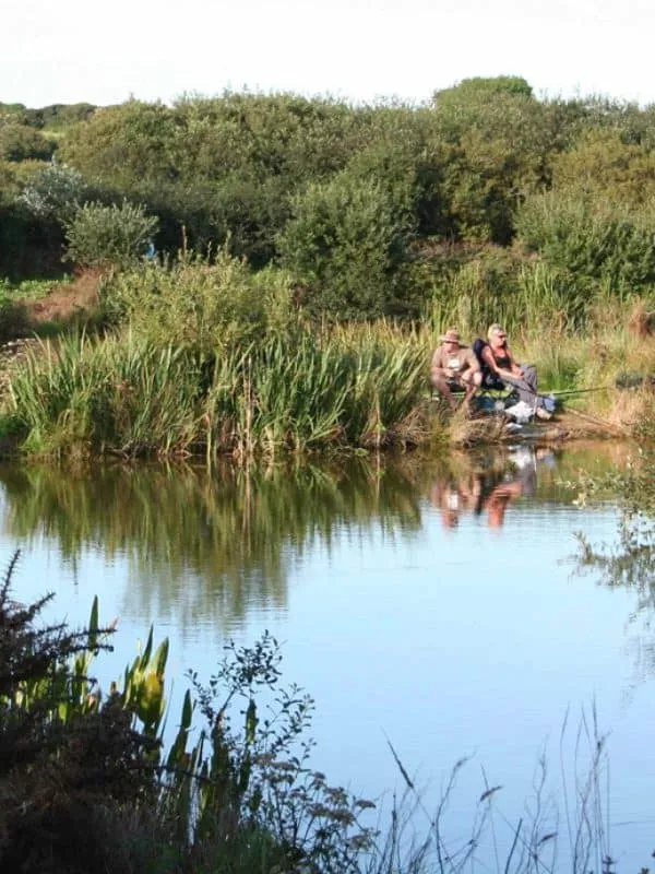 Perran Springs Fishing Gallery