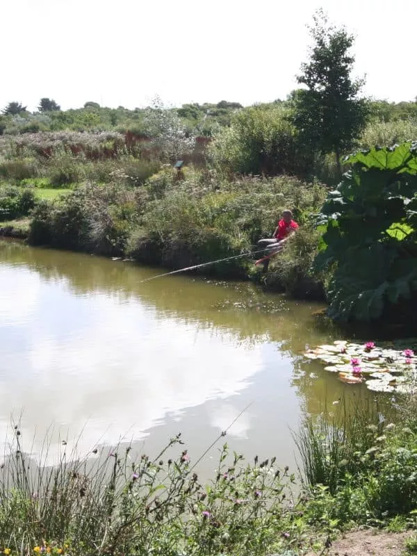 FishingButterfly4 - Perran Springs Holiday Park, Perranporth, Cornwall