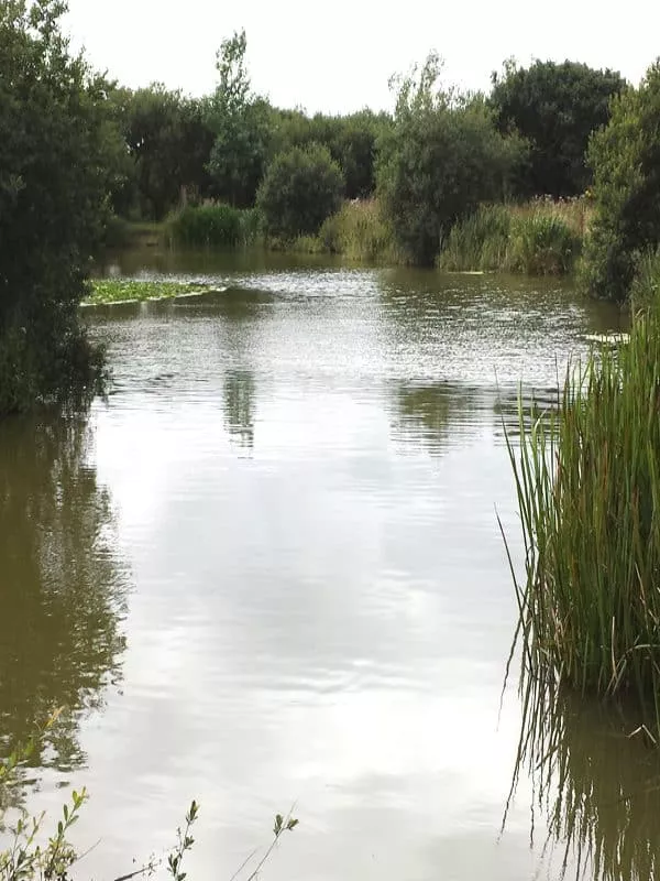 FishingMayfly2 - Perran Springs Holiday Park, Perranporth, Cornwall