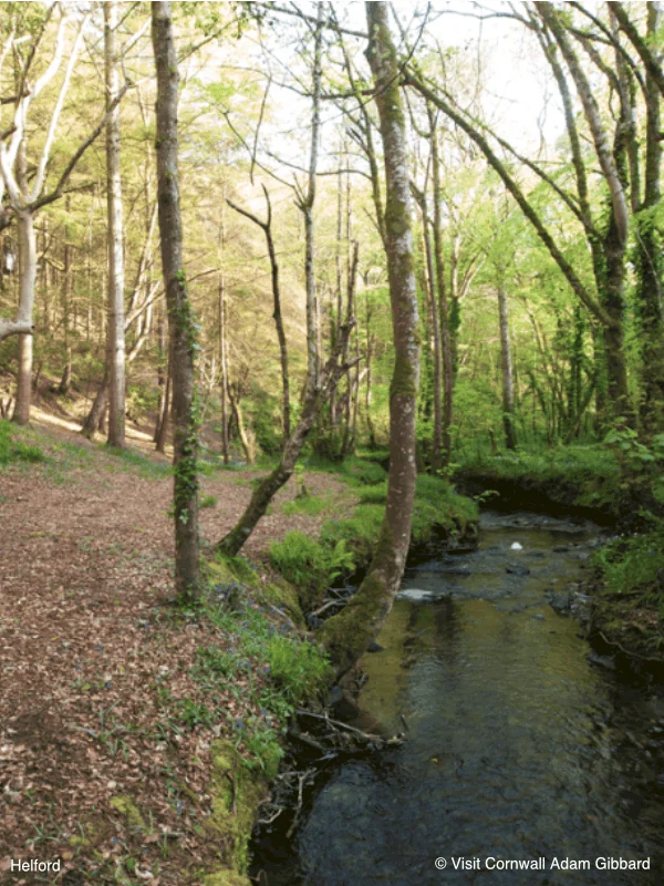Helford3 AdamGibbard - Perran Springs Holiday Park, Perranporth, Cornwall