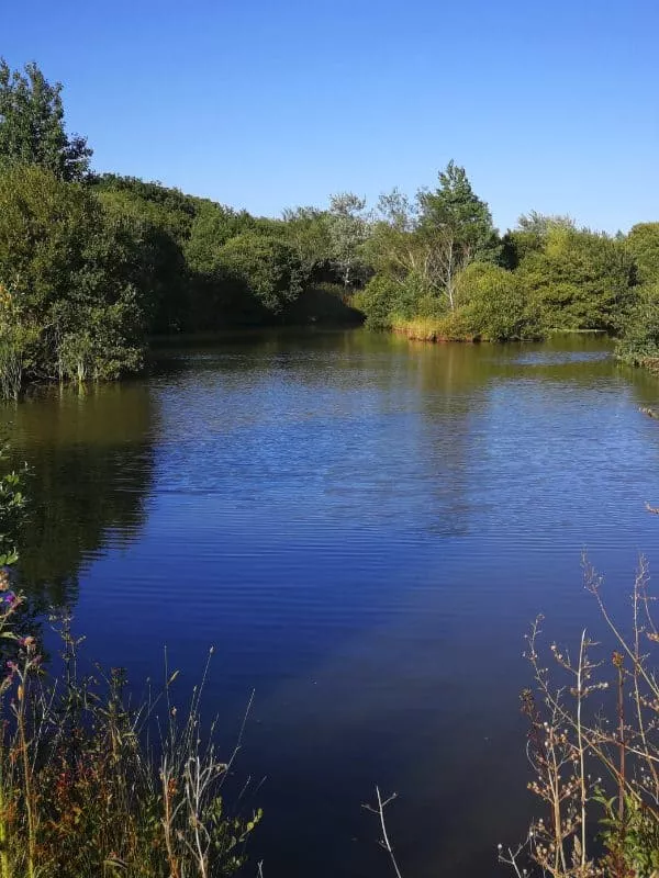 HomePageLake - Perran Springs Holiday Park, Perranporth, Cornwall