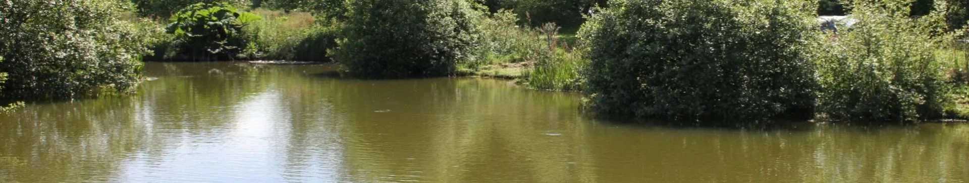 LargeSlimButterflyLake1 - Perran Springs Holiday Park, Perranporth, Cornwall