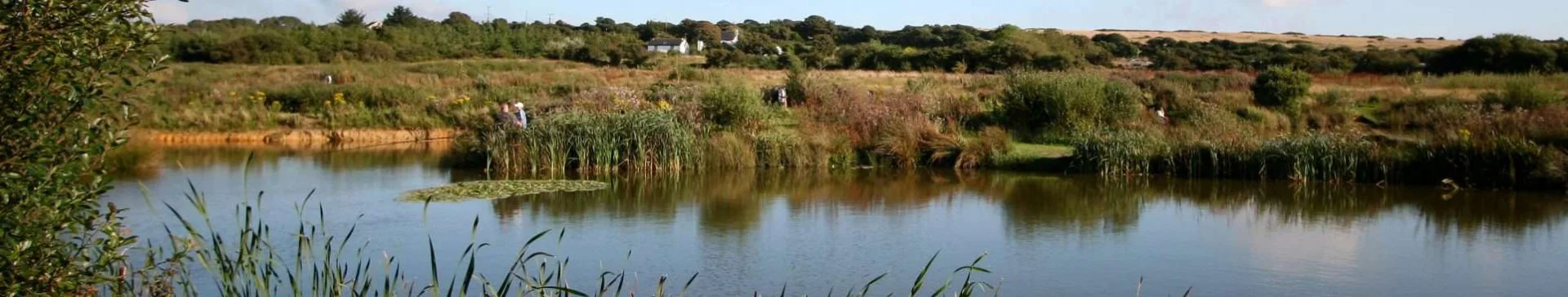 LargeSlimLake1 - Perran Springs Holiday Park, Perranporth, Cornwall