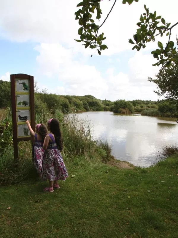 NatureTrail5 - Perran Springs Holiday Park, Perranporth, Cornwall