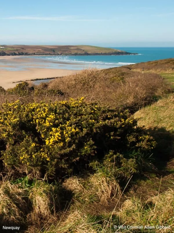 Newquay2 AdamGibbard - Perran Springs Holiday Park, Perranporth, Cornwall