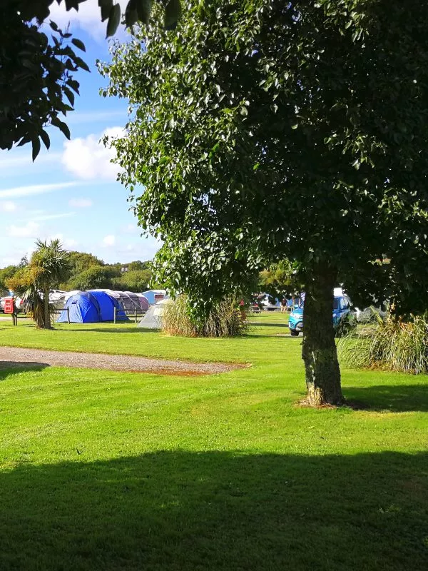 ParkGeneral2 - Perran Springs Holiday Park, Perranporth, Cornwall