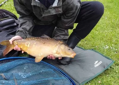 fish4