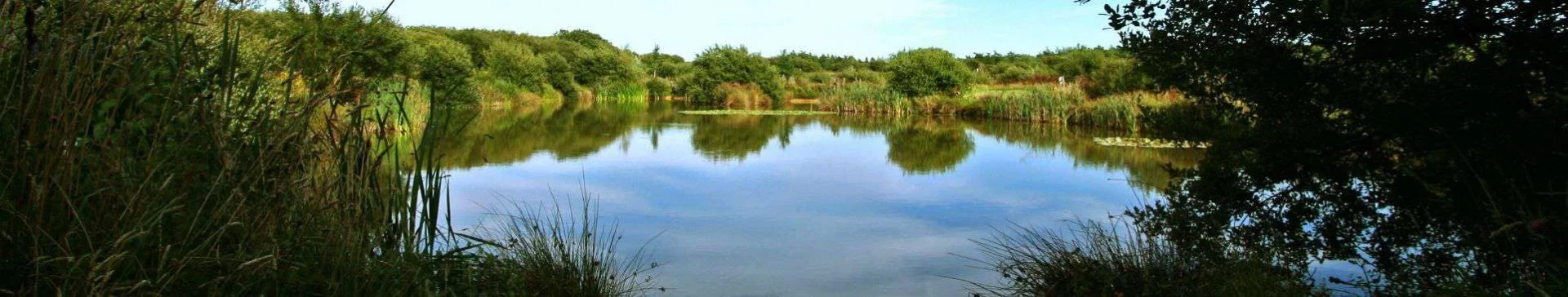 Mayfly Lake Mayfly Lake