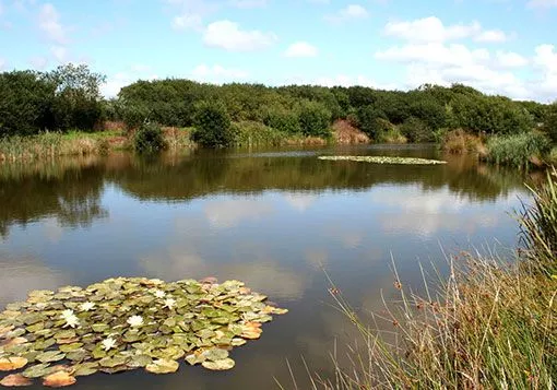 mayfly lake gallery 2 compressor - Perran Springs Holiday Park, Perranporth, Cornwall