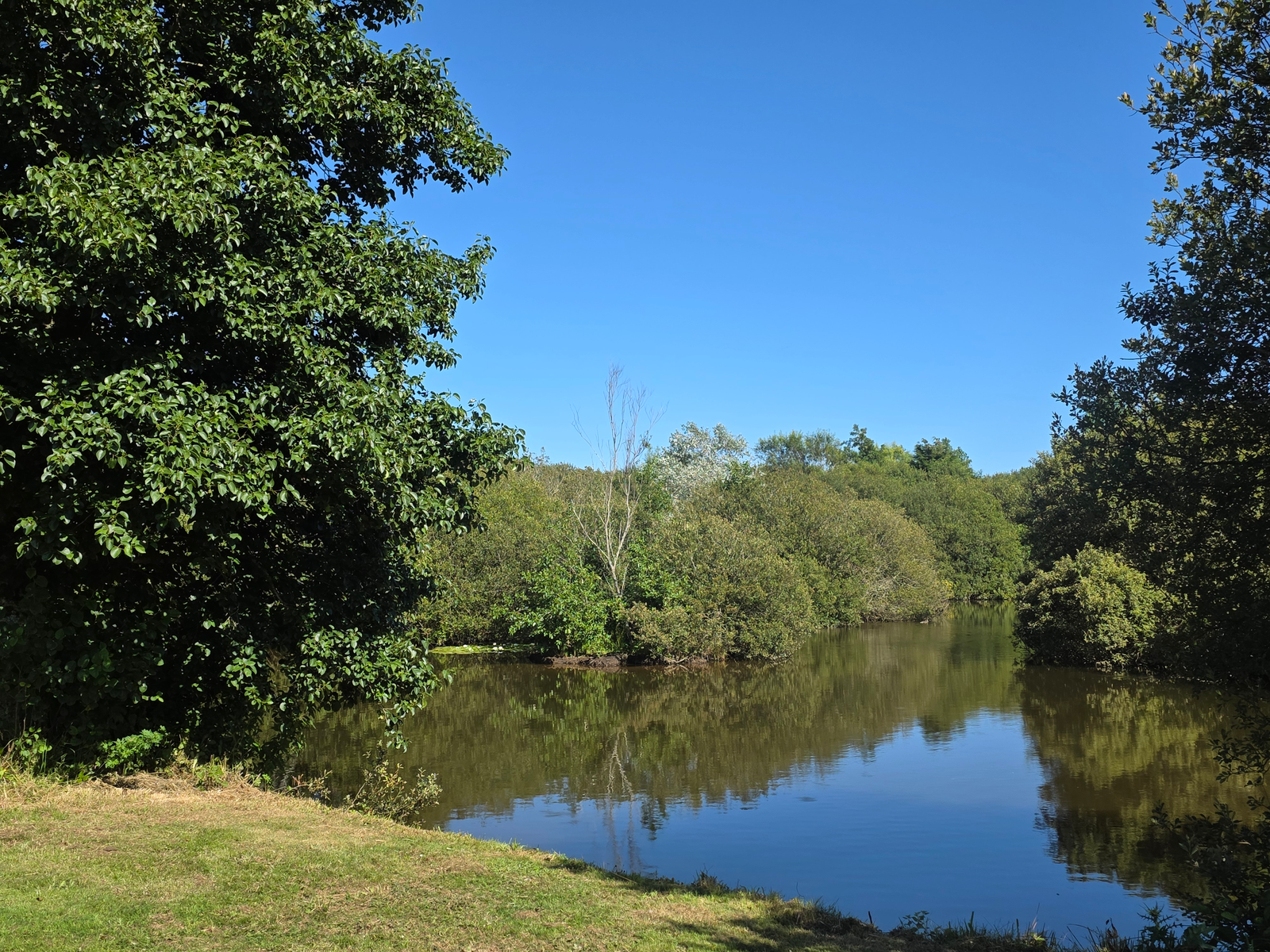 dragongly-lake-4