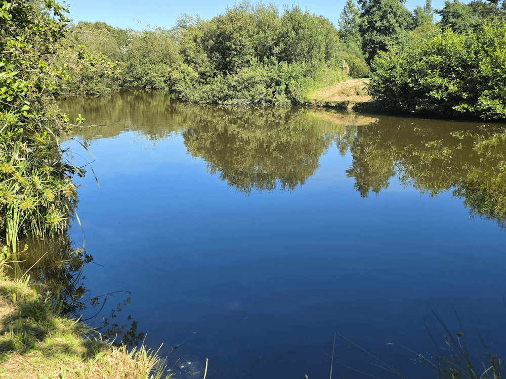 dragongly-lake-5