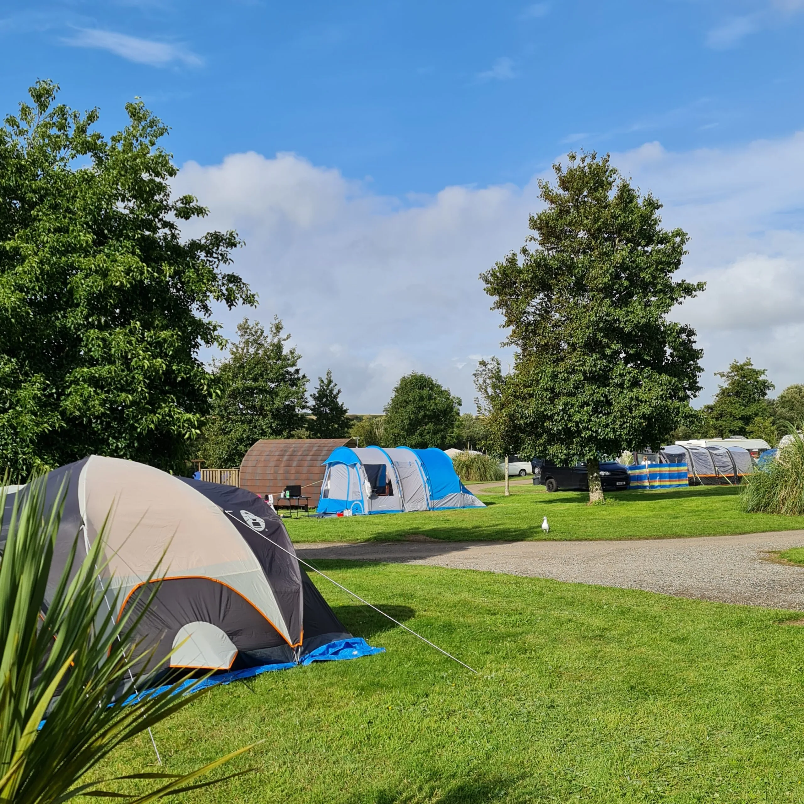 20230811 174803 scaled - Perran Springs Holiday Park, Perranporth, Cornwall