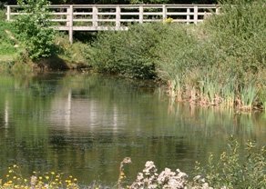 dragonfly-fishing-tab dragonfly-fishing-tab