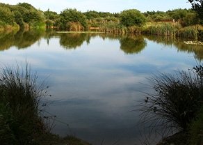 mayfly-fishing-tab mayfly-fishing-tab